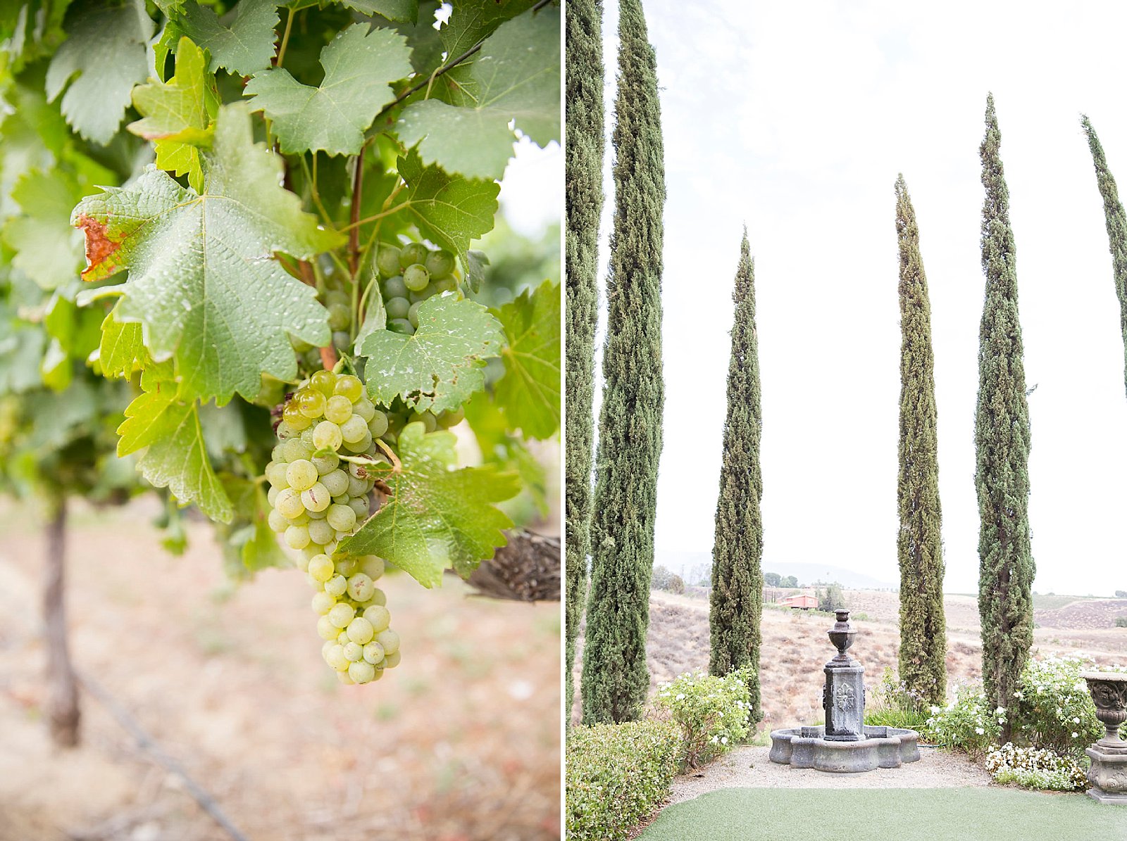 Falkner Winery wedding photographer by Randi Michelle Photography