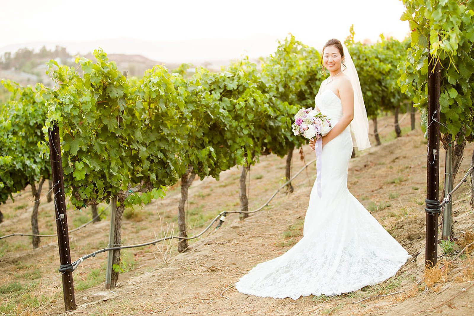 bride's portraits in vines at Falkner Winery by Randi Michelle Photography