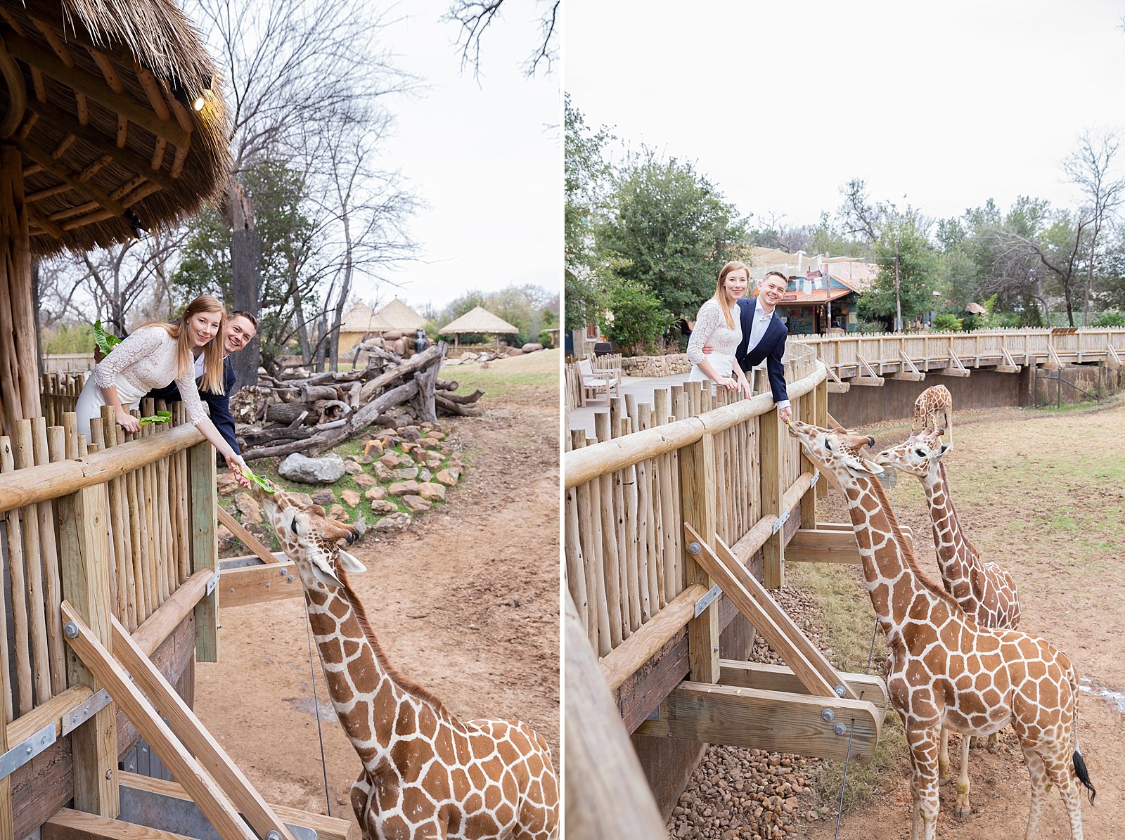 wedding photographer Randi Michelle Photography captures Fort Worth Zoo engagement session