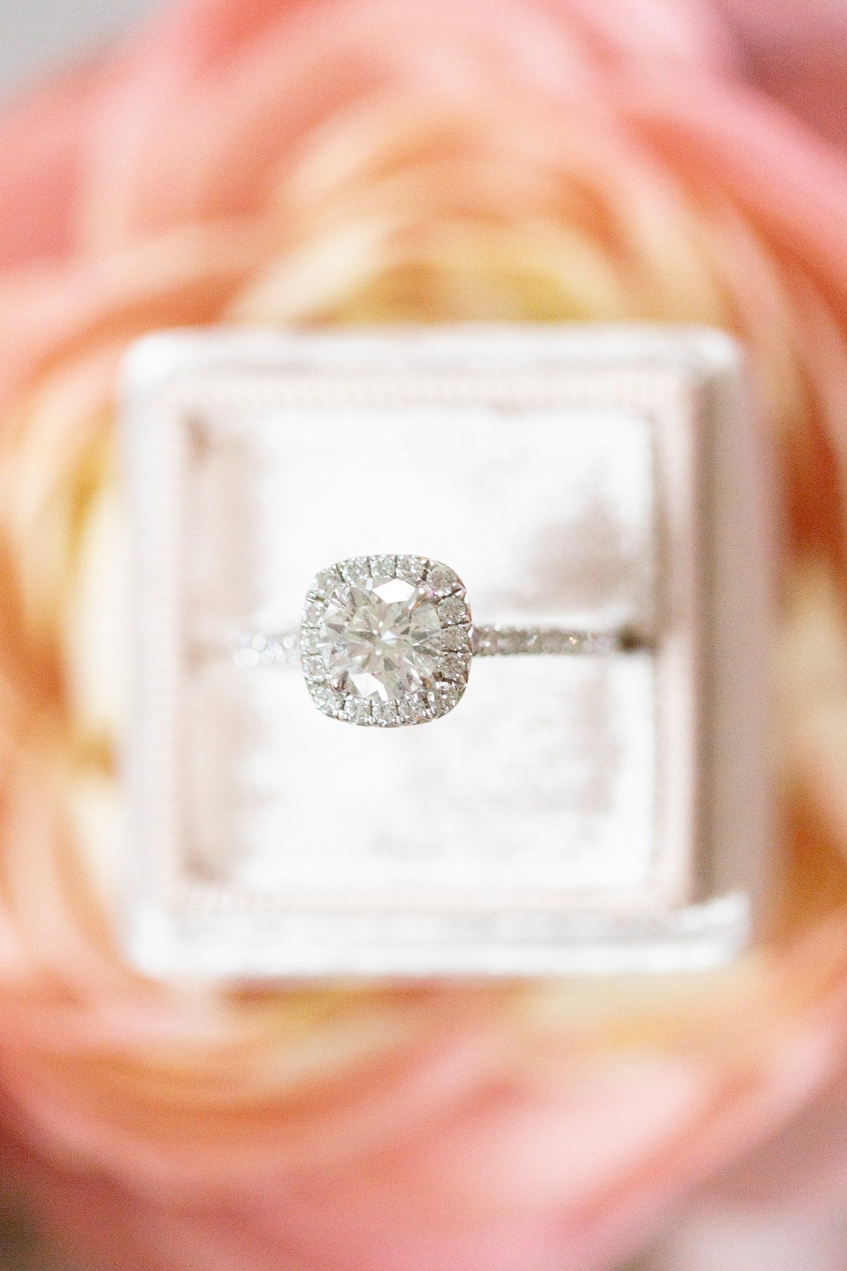 wedding ring in box on coral rose photographed by Randi Michelle Weddings
