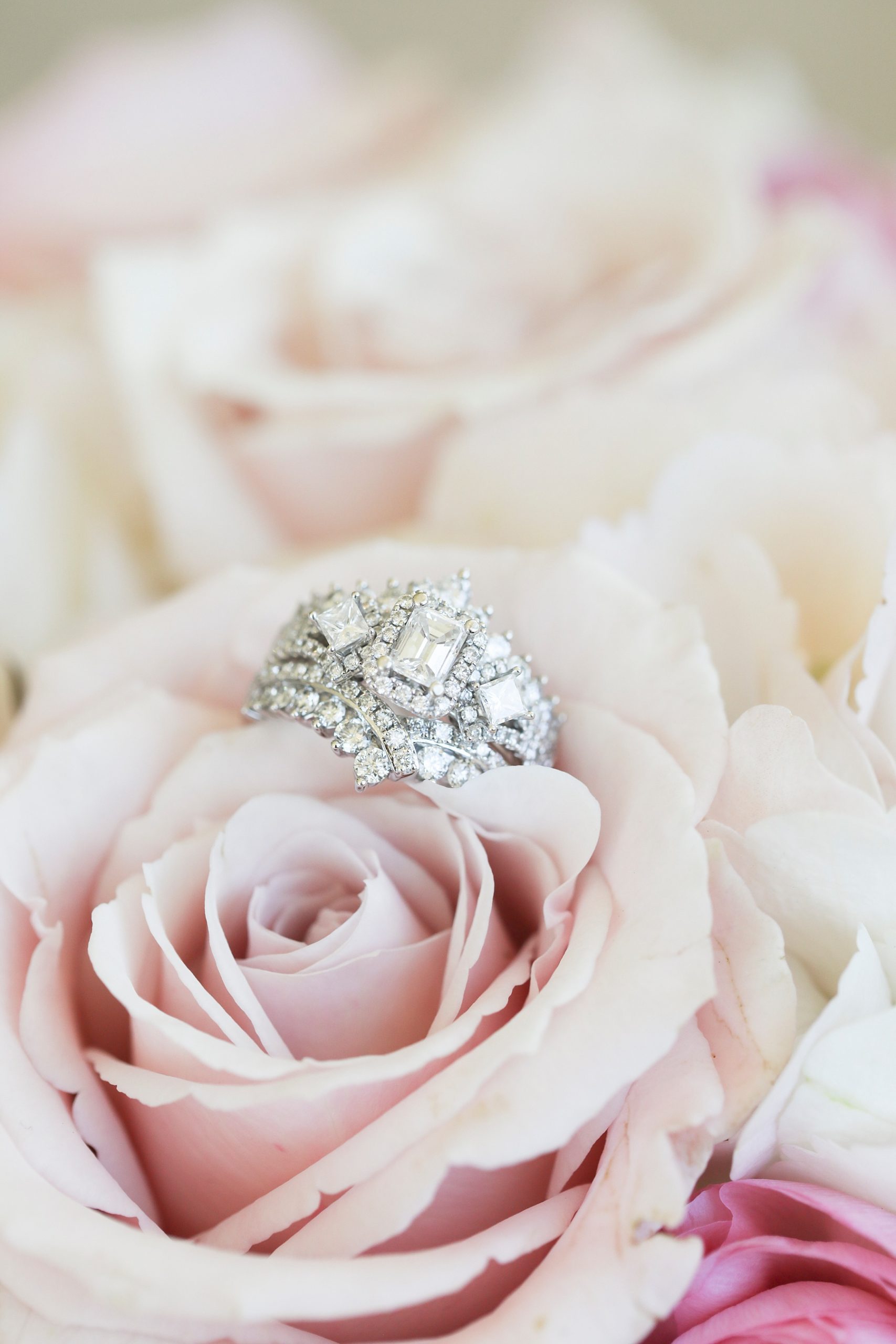 wedding rings on roses before Olana wedding