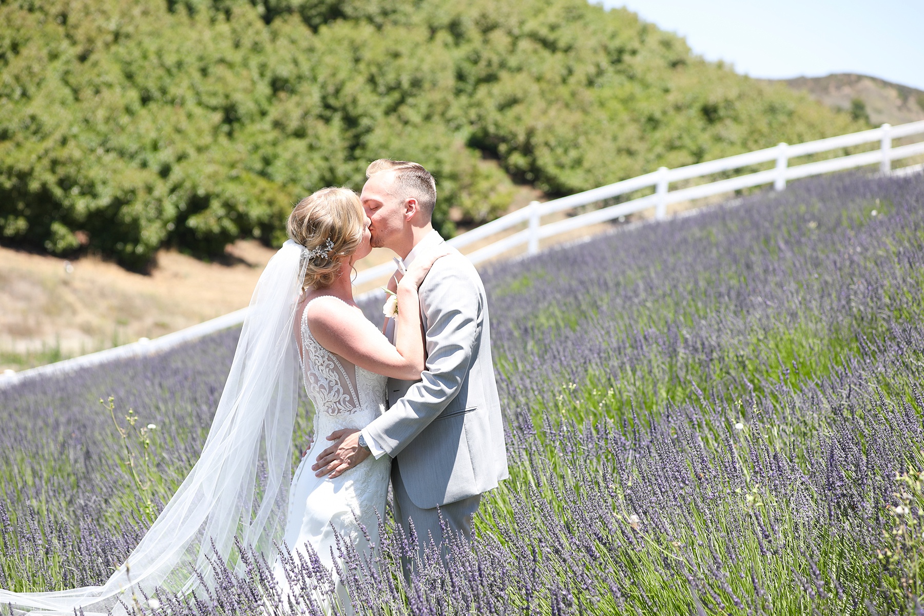 bride and groom kiss in lavender field at Providence Plateau photographed by Randi Michelle Weddings