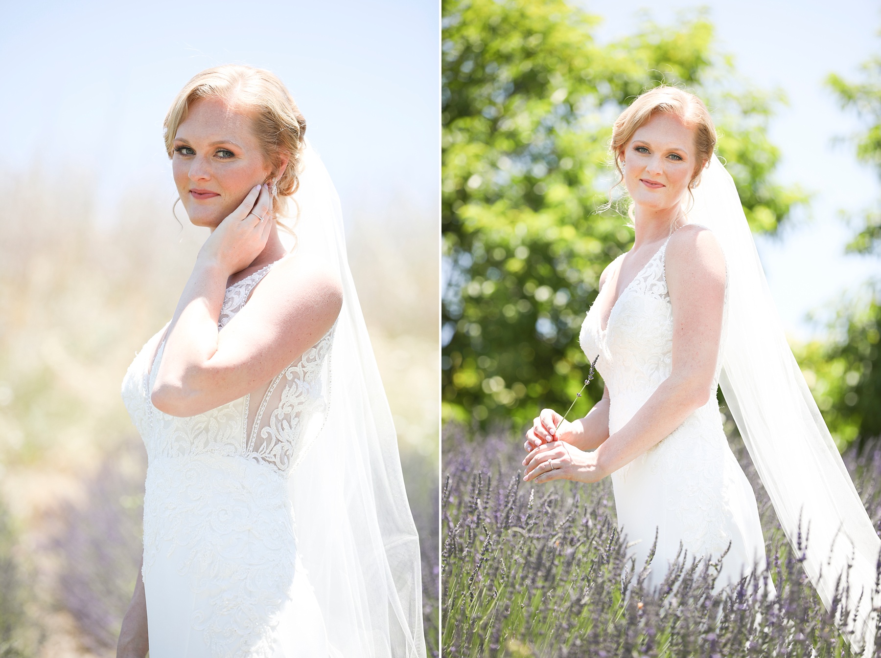 Randi Michelle Weddings photographs bridal portraits in Providence Plateau lavender field