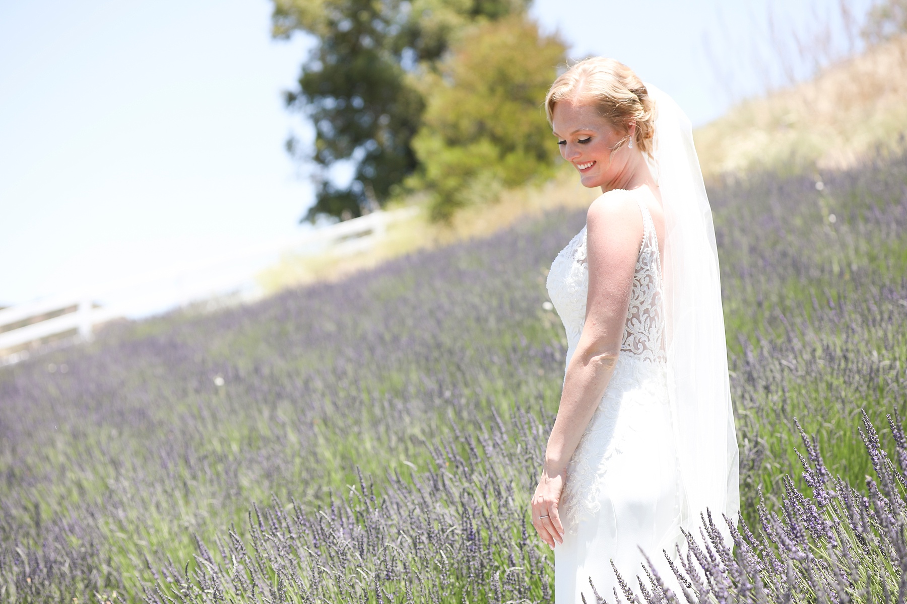 California bridal portraits in lavender field by Randi Michelle Weddings