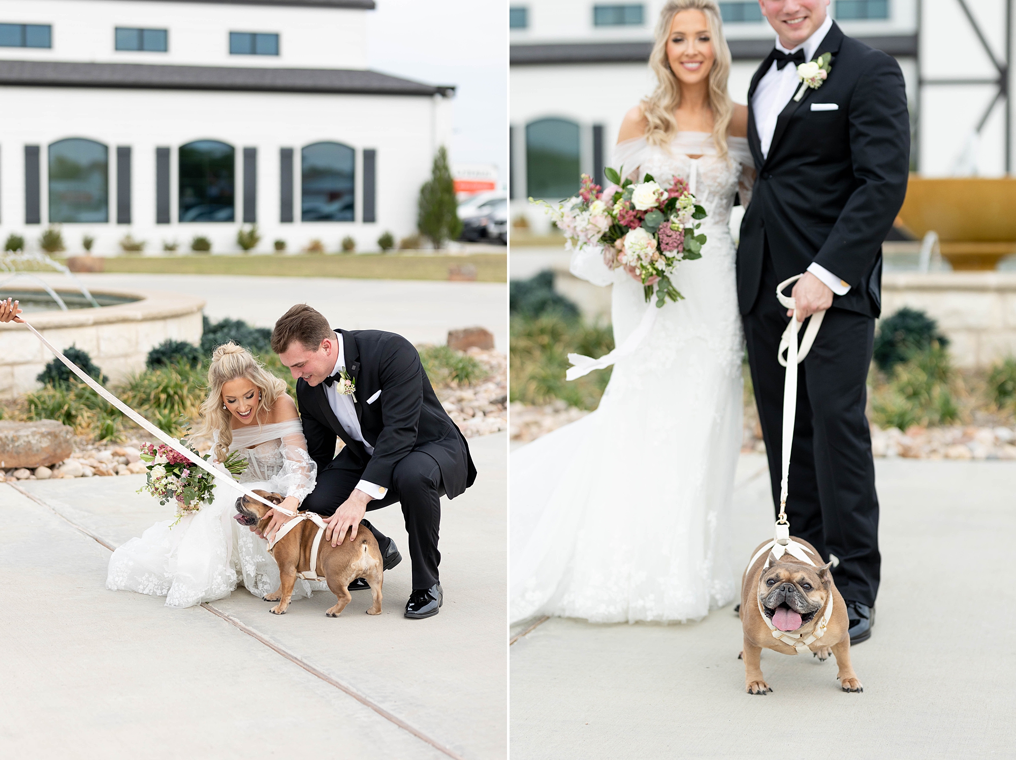 bride and groom kneel down to pet their dog during portraits outside the Gardenia