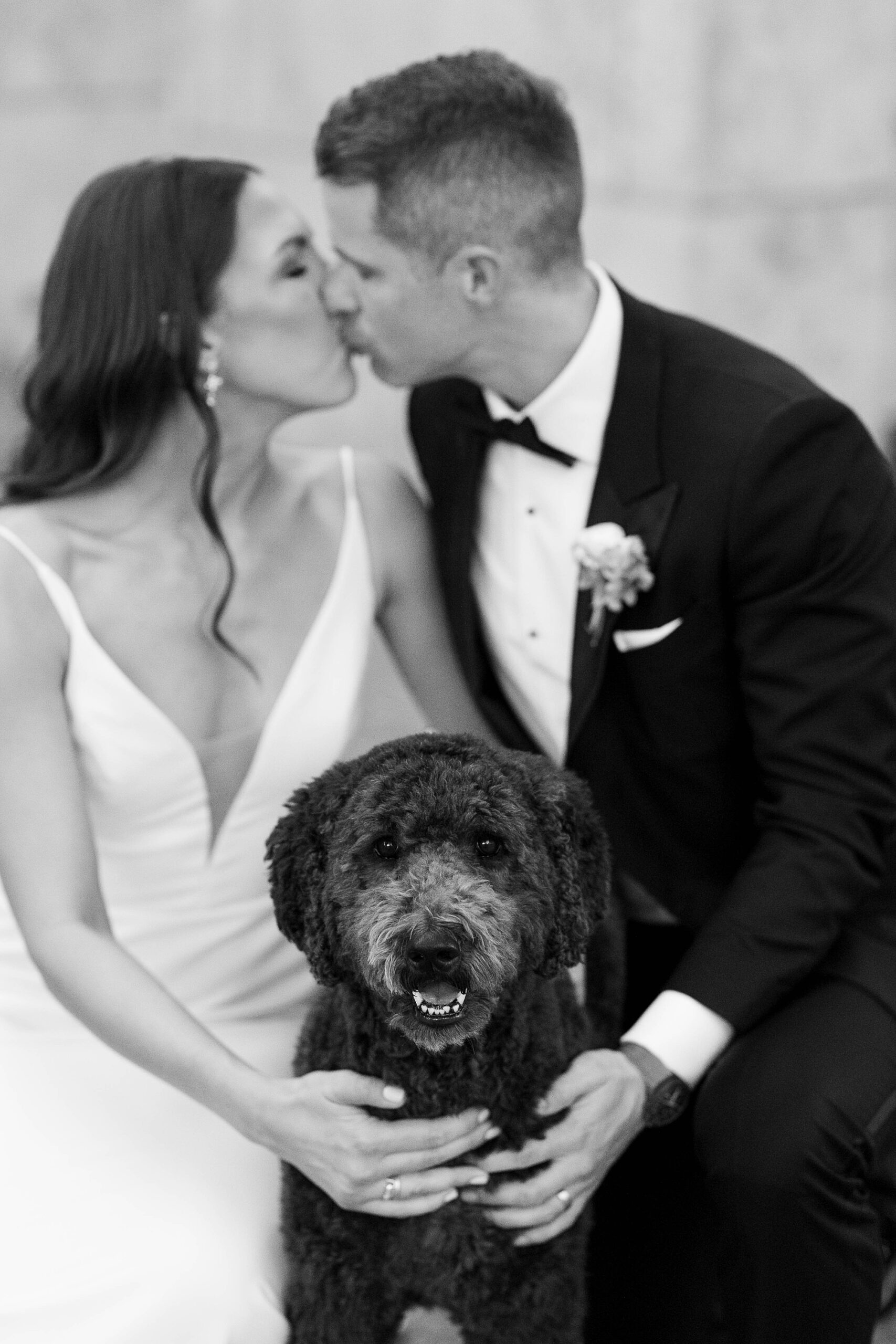 bride and groom kiss with their black dog between them at the Nasher Sculpture Center