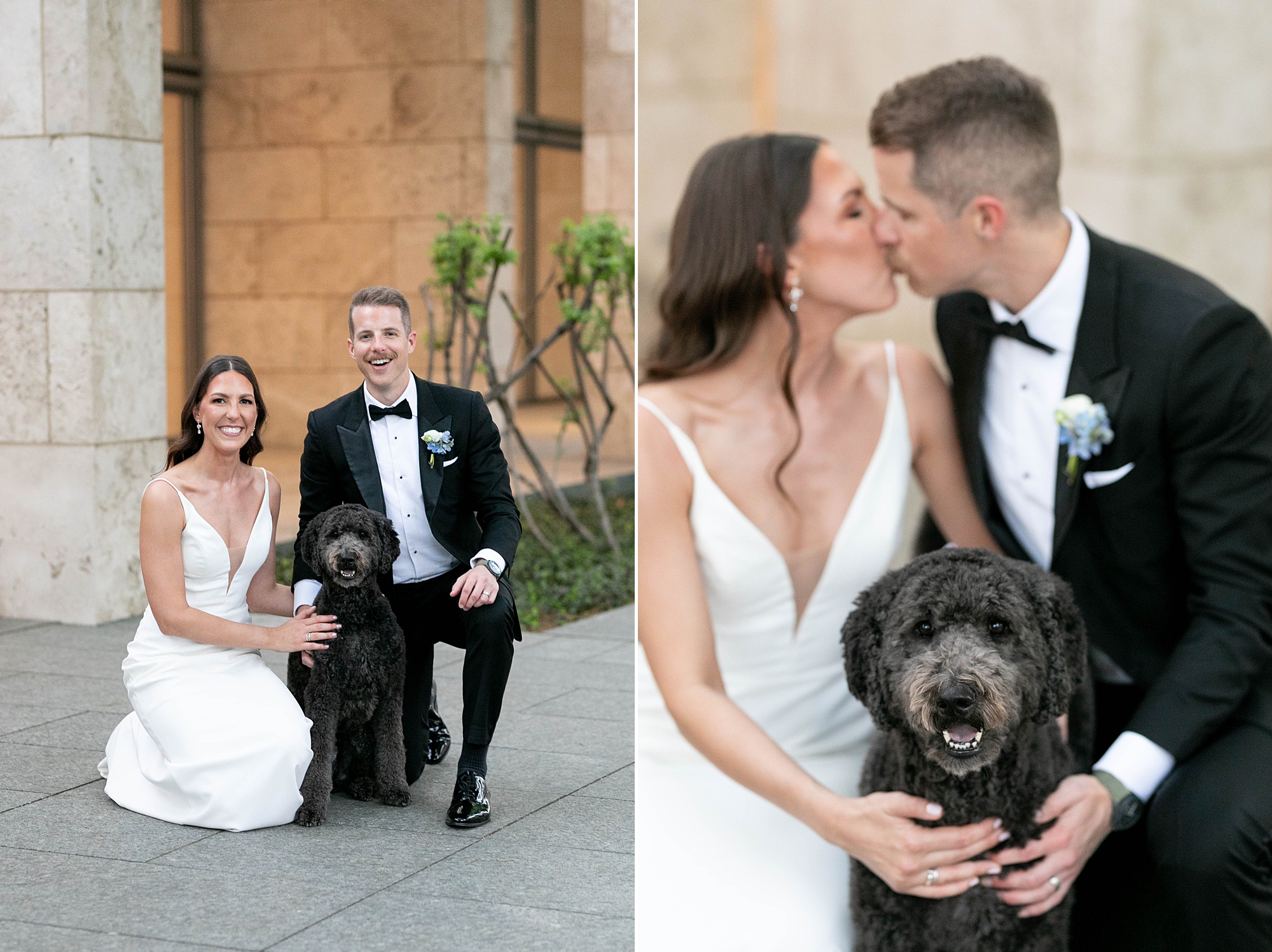 newlyweds kneel down with brown dog inside the Nasher Sculpture Center